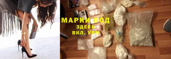 индика Абаза