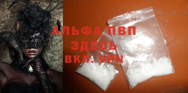 индика Абаза
