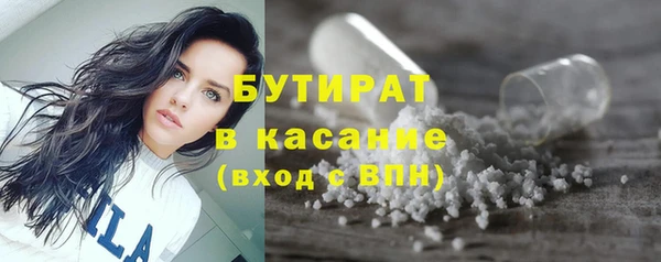 индика Абаза