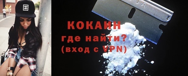 стаф Абинск
