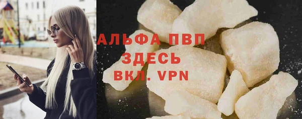 индика Абаза