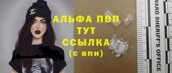 индика Абаза