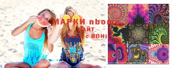 индика Абаза