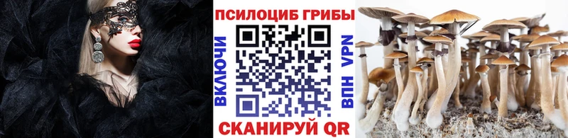 Псилоцибиновые грибы Cubensis  Ангарск 